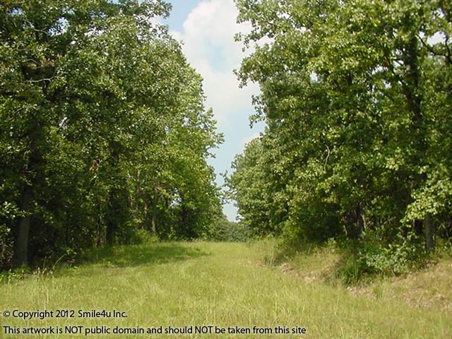 A beautiful chunk of land for sale hidden in the forest at Lake of the Ozarks by Osage Beach, Missouri! 
